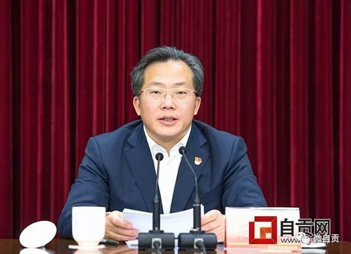 守护历史的守护者，国家档案局副司长范某的非凡使命