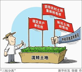 土地流转信托，农业现代化的新引擎