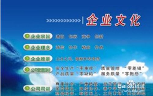 从零开始，新员工的职场适应与成长指南