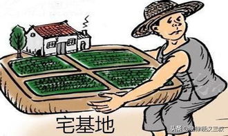 农村宅基地管理条例，农民权益的守护者与乡村振兴的助推器