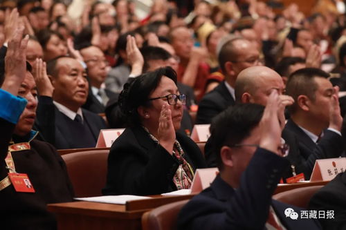 深入了解全国人大代表的权利，职责、影响与实践