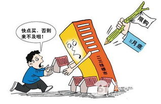 北京小产权房，投资的双刃剑