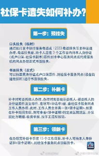 吴中区社保查询指南，全面了解你的社会保障权益