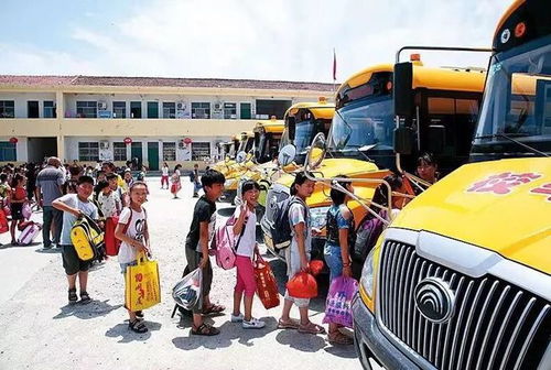 校车多少钱？一探究竟，为孩子的安全出行保驾护航