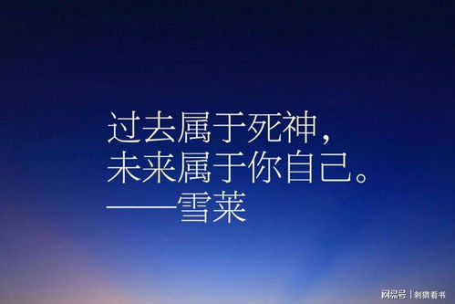 法律的智慧，经典语录大全，照亮正义之路