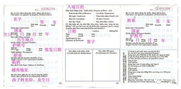 广东省出入境签证，全面解析与实用指南