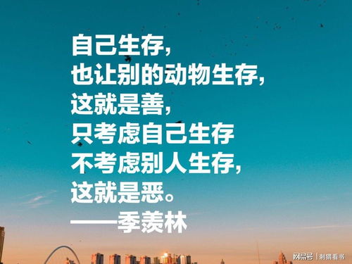 法律名言的智慧，启迪与反思