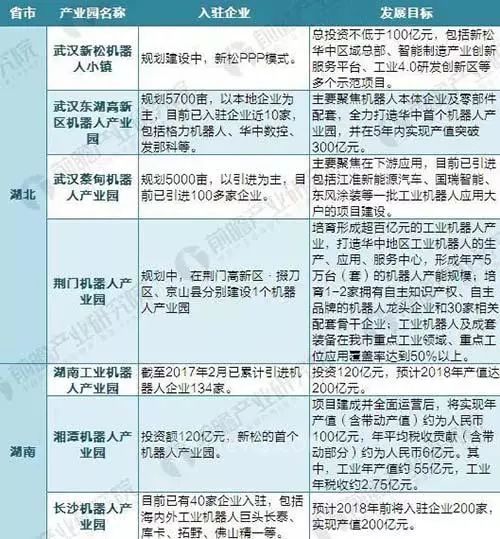 双独生二胎，家庭规划与社会影响的深度解析