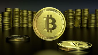 罗马数字货币交易所，深入了解数字货币交易的罗马式策略