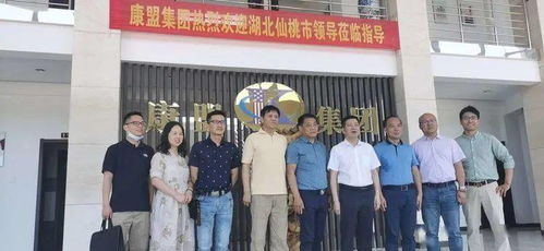 重庆经济适用房，市民的安居梦想与城市发展的双赢策略