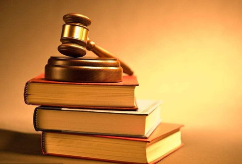 法律库，数字时代的法律知识宝库