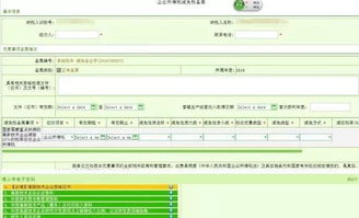 深入了解高新技术企业认定程序，步骤、要求与实用建议
