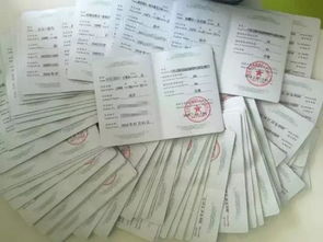 全面了解，如何轻松办理二胎准生证