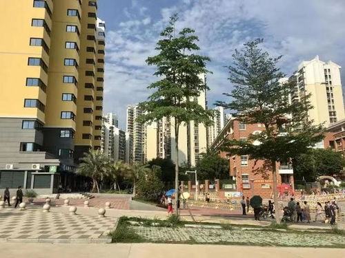 重庆大渡口公租房，居住新选择，城市新面貌