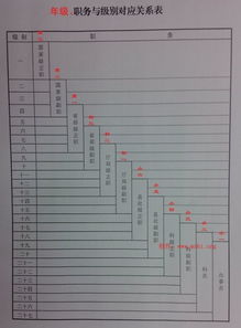 深入解析公务员管理条例，职责、权利与职业发展