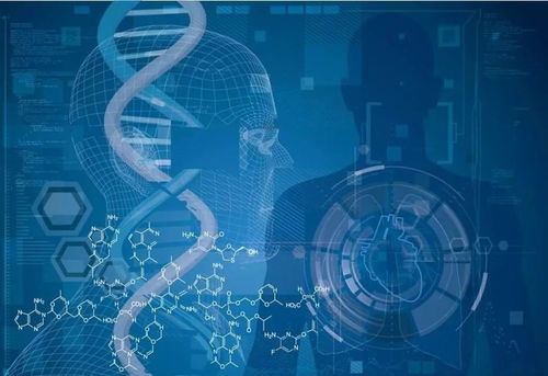 探索性别鉴定技术，科学、伦理与未来