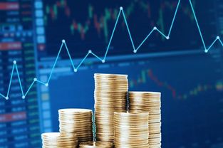 深圳证券交易所交易规则，投资者的指南针