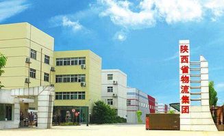 陕西省卫生厅网，连接健康与信息的桥梁