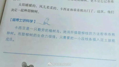 轻松告别，撰写离职书范本的艺术与技巧