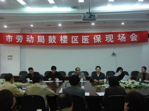 合肥劳动和社会保障局，保障劳动者权益的坚实后盾