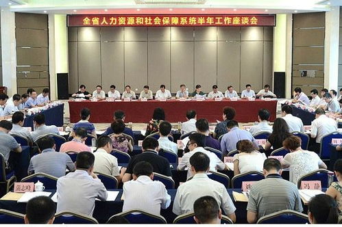 合肥劳动和社会保障局，保障劳动者权益的坚实后盾