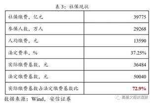 深入解析2010年社保缴费基数，影响、计算与未来趋势