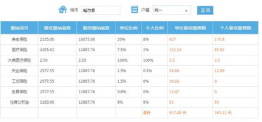 深入解析2010年社保缴费基数，影响、计算与未来趋势