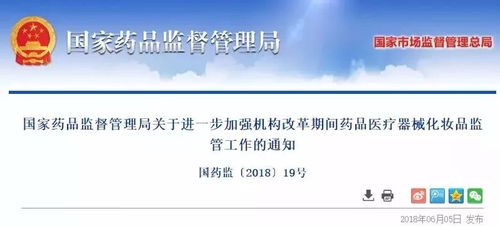 国发1978104号，解锁政策密码，开启发展新篇章