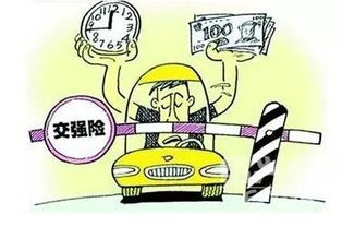 交通强制险，保障与责任的平衡艺术