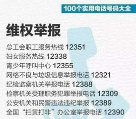 揭秘，铁路局订票电话背后的故事与实用指南