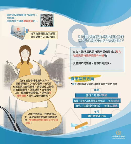 全面指南，个人如何自行缴纳社保，保障未来无忧