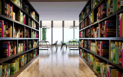 法律图书馆，知识宝库与正义之光