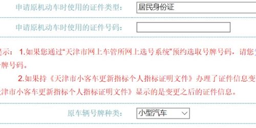 北京机动车牌照申请，流程、技巧与实用指南