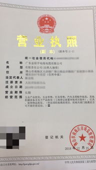 出租车营业执照，行业准入与经营的通行证