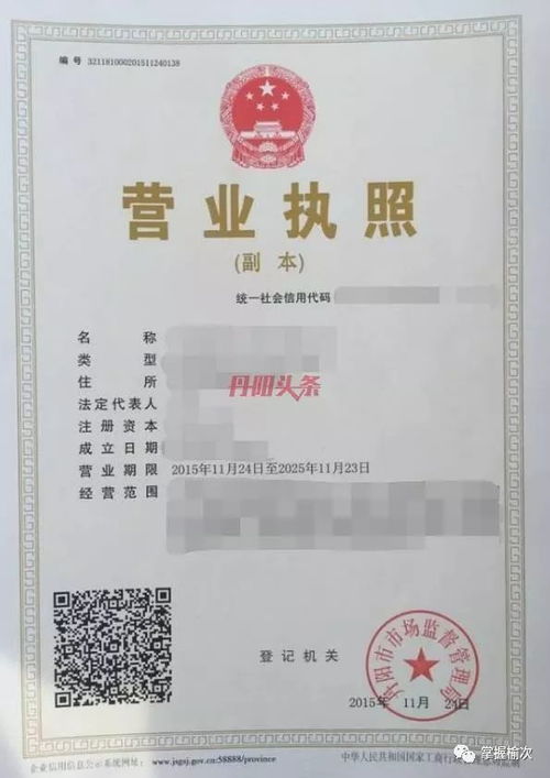 出租车营业执照，行业准入与经营的通行证