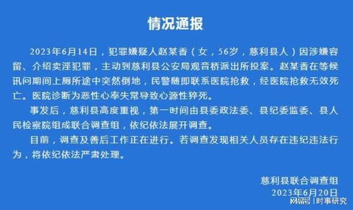 法律是社会公正的基石，一句警句的力量与启示