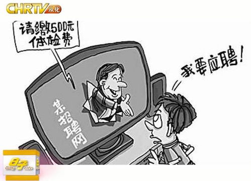 揭秘传销，如何识别并远离这个隐形的陷阱