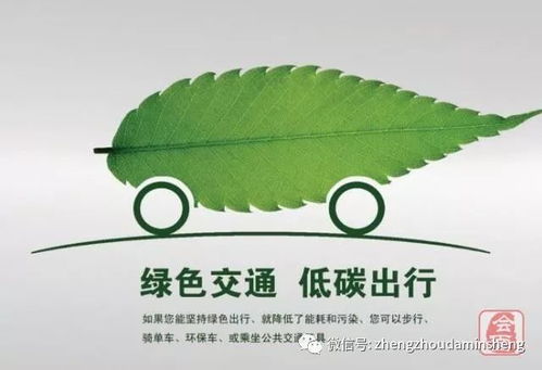 绿色出行，公共交通工具的环保革命与未来趋势