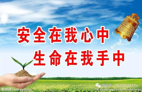 掌握突发事件应对条例，为安全保驾护航