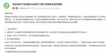 淘宝拍卖保证金，保障交易安全的关键