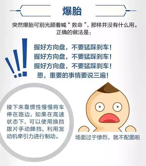 春节假期安排指南，享受与家人团聚的黄金时光