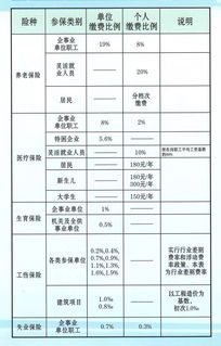 社会保险与商业保险，深入理解两者的区别及重要性