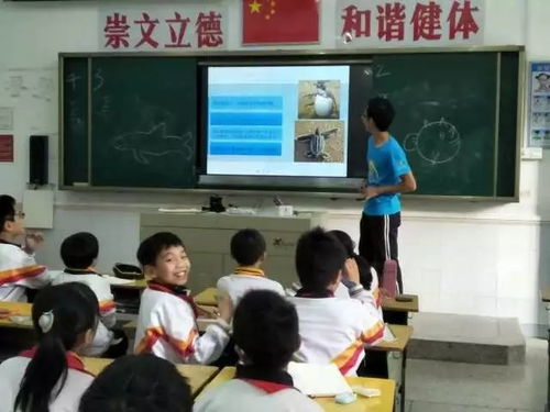 税海探秘，直接税与间接税的奇妙旅程