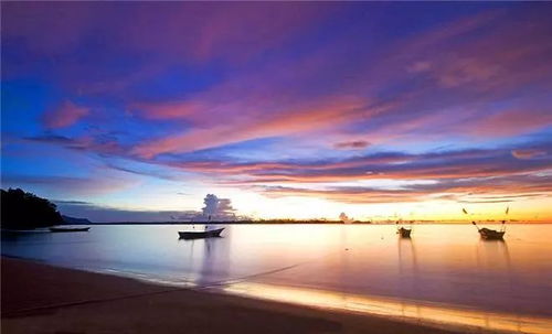 税海探秘，直接税与间接税的奇妙旅程