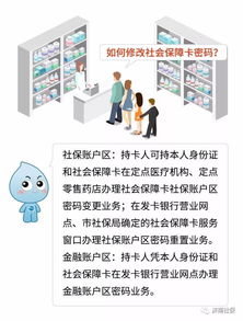 社保，你的隐形保护伞，了解、应用与影响