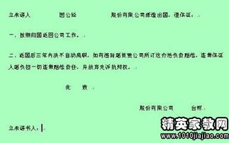 一纸承诺，一份责任，掌握保证书格式的艺术