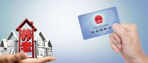 武汉社会保障卡查询，全面指南与实用技巧