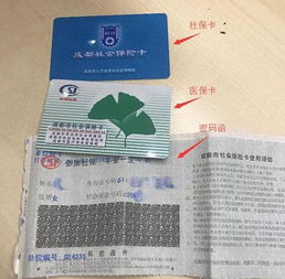 武汉社会保障卡查询，全面指南与实用技巧