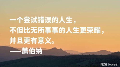 法律名言大全，经典句子的智慧与启示