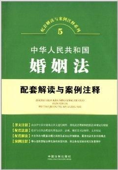 婚姻法中的房产分割，理解、案例与策略